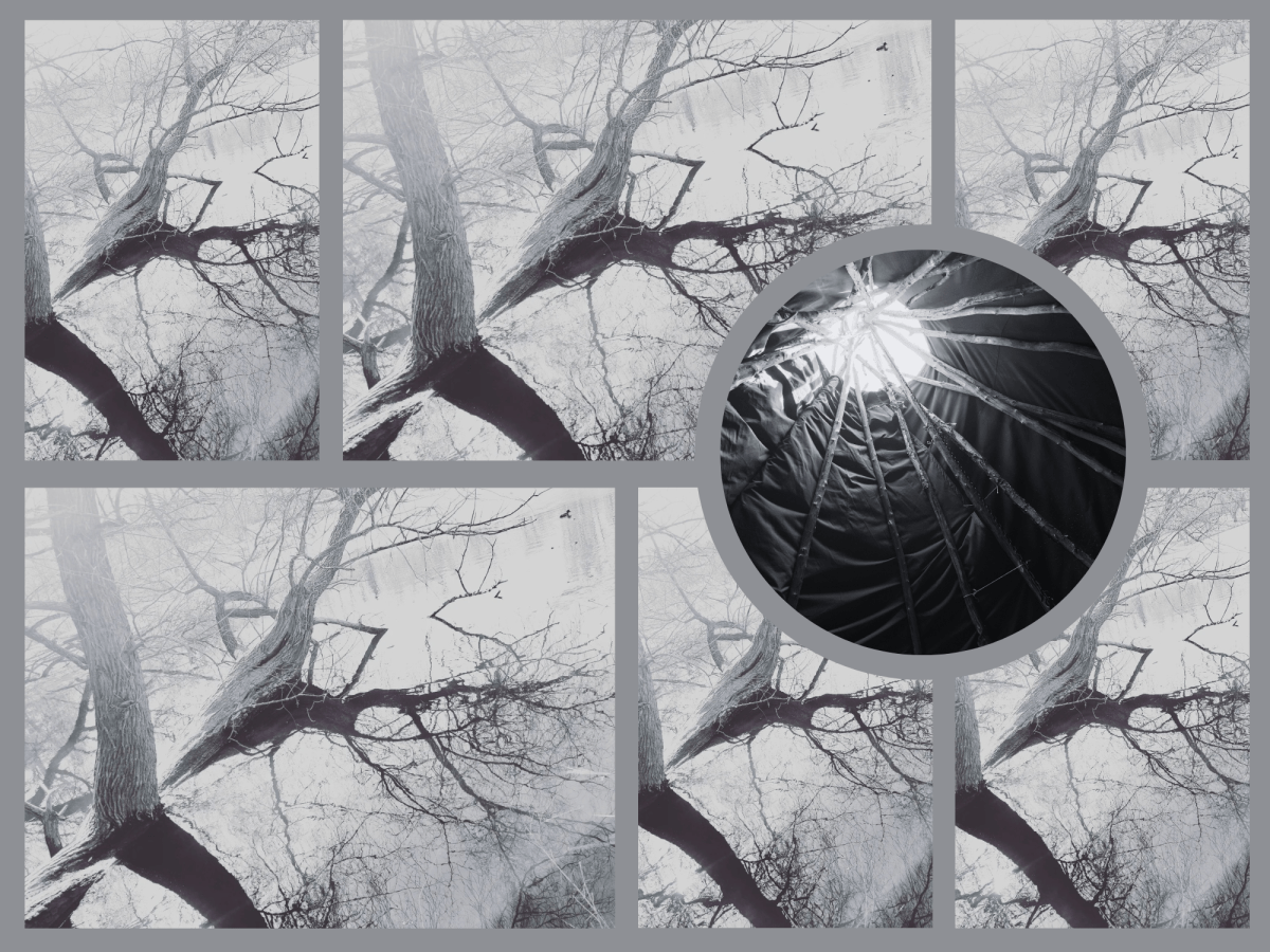 Capitalism’s colonial epistemicide: